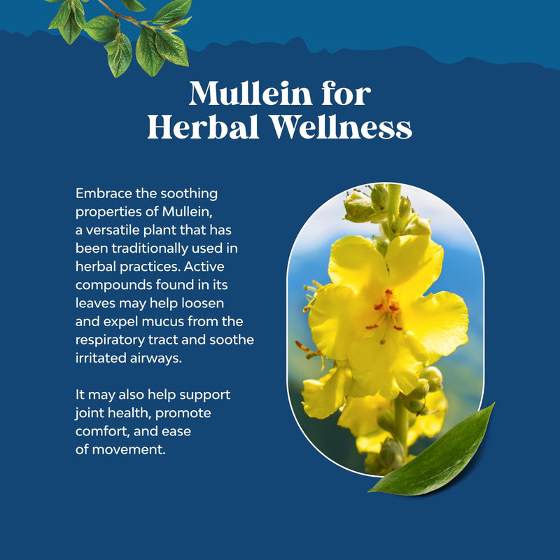 [Australia] - USDA Organic Mullein Leaf Drops - Herbal Lung Detox & Cleanse Marshmallow Root & Mullein Tincture Lung Support Supplement - Mullein Leaf Extract Respiratory Supplement for Sinus Immunity & Breathing 4 Fl Oz (Pack of 1) 