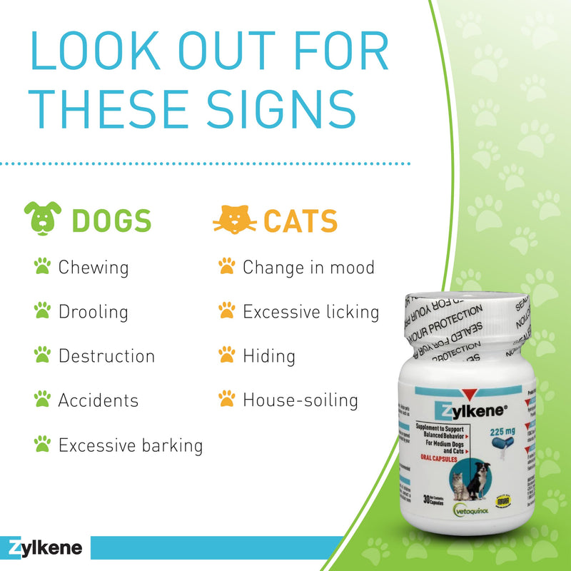 Vetoquinol Zylkene Calming Support Supplement for Medium Dogs 33-65lbs Helps Promote Relaxation and Reduce External Stress Factors, Daily Behavioral Support and Anxiety Relief for Dogs, 225mg 30 Capsules - PawsPlanet Australia