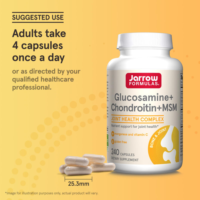 [Australia] - Jarrow Formulas Glucosamine + Chondroitin + MSM Capsules, Joint Support Supplement with Vitamin C and Manganese, 240 Capsules, 60 Day Supply 240 Count (Pack of 1) 