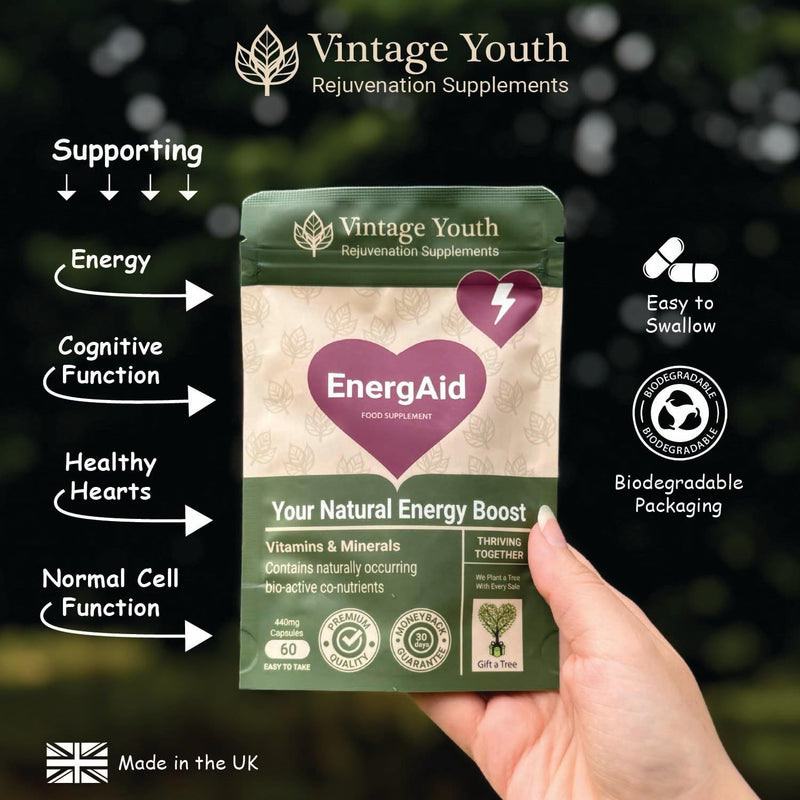 EnergAid Energy & Stamina Supplement | Natural Caffeine-Free Pre-Workout with Korean Ginseng, CoQ10, Rhodiola & B Vitamins | Reduces Fatigue, Supports Focus & Metabolism | Vegan | Made in UK