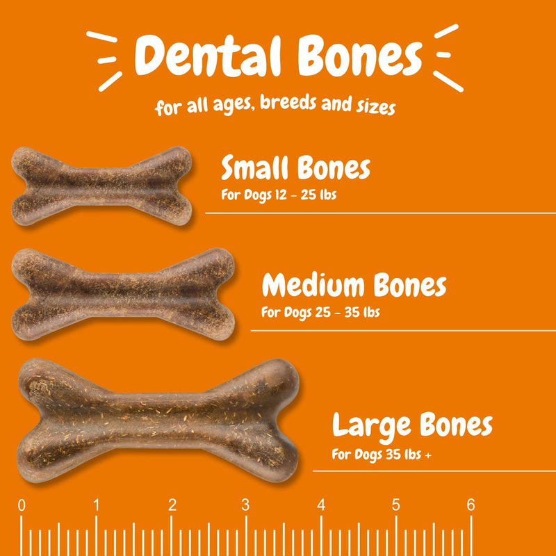 Zesty Paws Dental Bones - Fights Tartar & Plaque - Gum, Teeth & Bone Health - Cinnamon for Dog Breath - Immune, Joint, Gut, Skin & Coat Support - Omega 3 EPA & DHA and Calcium - Small Dogs - 28 ct… Small Bones 0.3 Ounce (Pack of 28) - PawsPlanet Australia