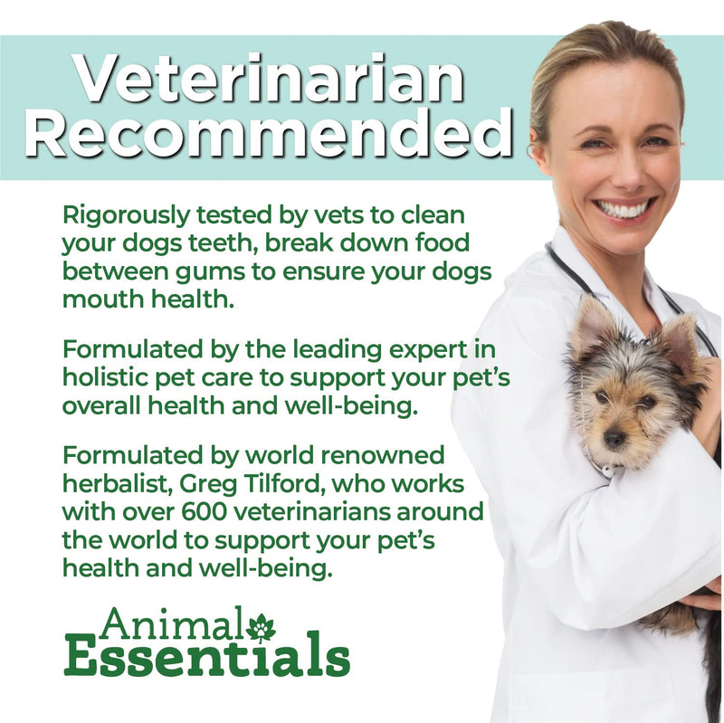 Animal Essentials Daily Digestion for Dogs & Cats - Digestive Support, Fresh Breath, Ginger Root, Fennel Seed Extract, Liquid Supplement - 2 Fl Oz 2 fl oz (60 ml) (Pack of 1) - PawsPlanet Australia