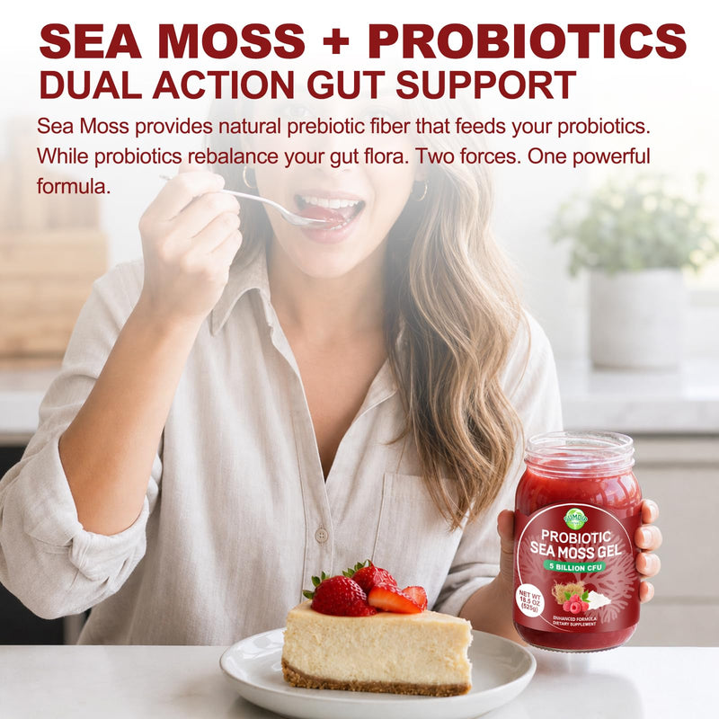 Sea Moss Gel with 5B CFU Probiotic for Digestive Support Raspberry 18.5oz | Irish Wildcrafted Seamoss Gel Raw Rich In Vitamins & Minerals Vegan Non-Gmo Gluten-Free 18.5 Fl Oz (Pack of 1)