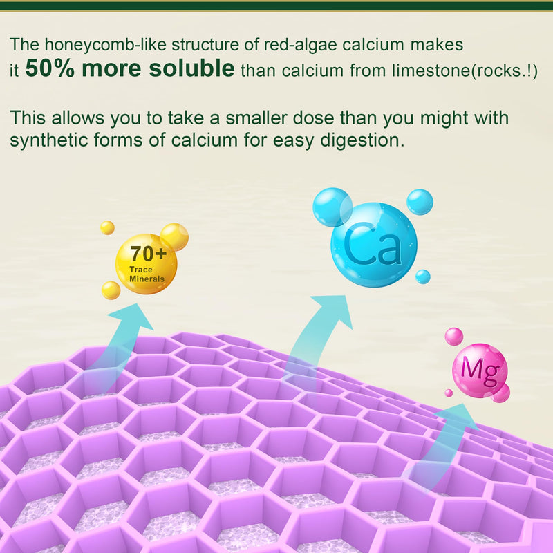 LILICARE Bundle - Vegan Iron + Algae Calcium
