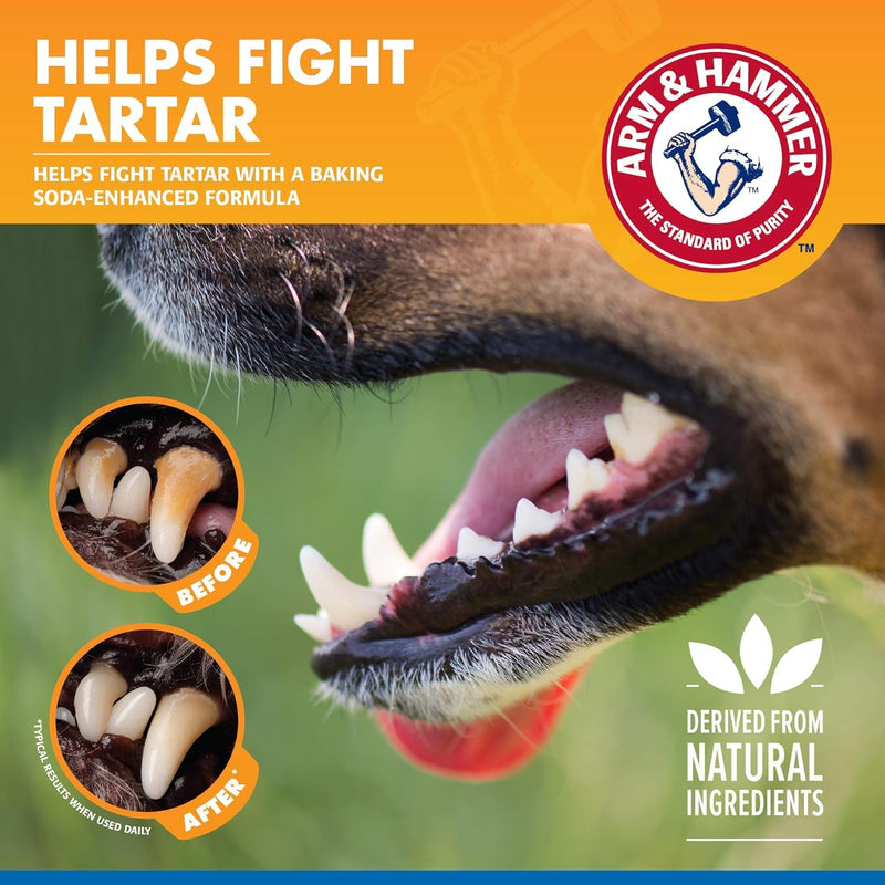 [Australia] - Arm & Hammer for Pets Dental Water Additive for Dogs, Tartar Control | Dog Dental Care Reduces Plaque & Tartar Buildup Without Brushing | Odorless and Flavorless, 16 Fl Ounces - 2 Pack 16 Fl Oz (Pack of 2) 