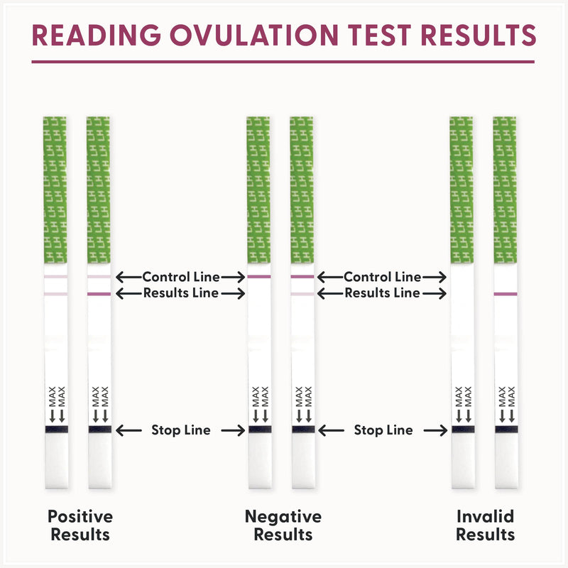 [Australia] - Fairhaven Health BFP Kit - 40 Ovulation and 10 Pregnancy Test Strips – Monitor LH and HCG Levels- Early Detection at Home for Women Trying to Get Pregnant - Made in North America 