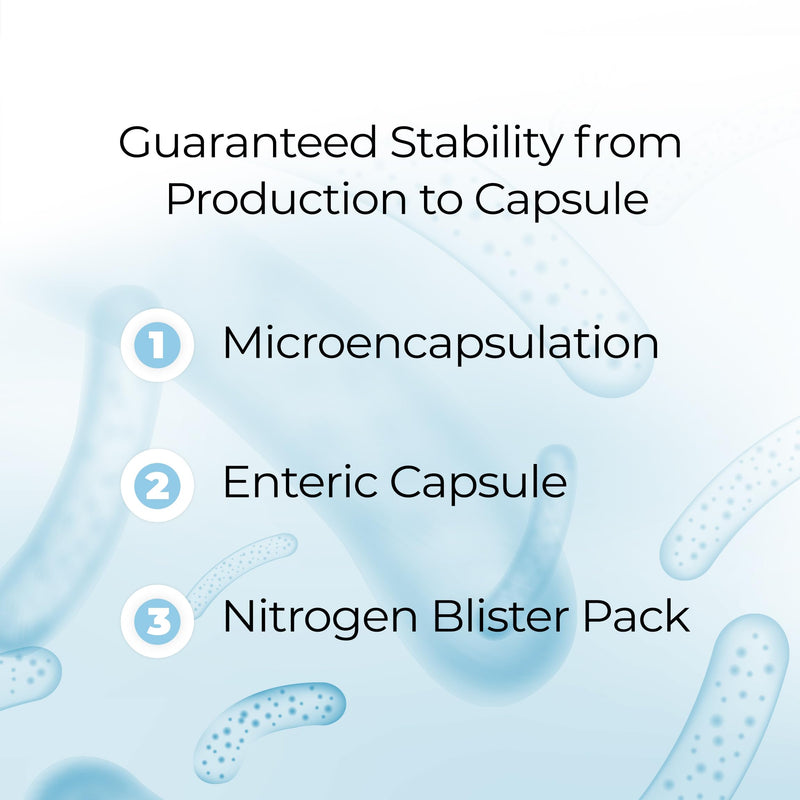 Biotacell Bifido Complex (30 Capsules) | 12 Billion CFU | 6 Bifidobacterium Strains with Acacia Fibre | Bloating & Digestive Support Probiotics for Women & Men | Prebiotics Gut Health Supplements