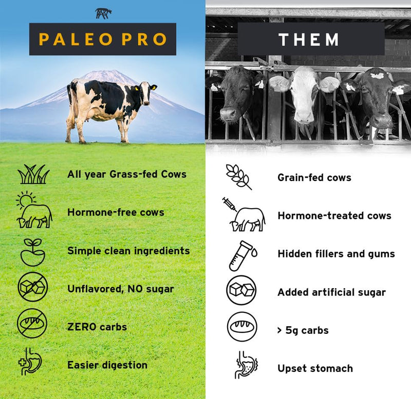 [Australia] - Paleo Pro 26G Beef Protein Powder - Grass Fed Protein Powder Isolate - Pure Animal Based Pastured & Cage-Free | Dairy & Gluten Free, Natural & Clean Proteins for Paleo & Keto - 15 Days Supply Vanilla 1 Pound (Pack of 1) 