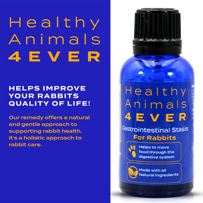 Healthy Animals 4Ever All-Natural Rabbit Gastrointestinal Stasis Treatment | Effective Homeopathic Support for GI Stasis - Promotes Healthy Digestion Rabbit Digestive Health Tablets | 300 Count - PawsPlanet Australia