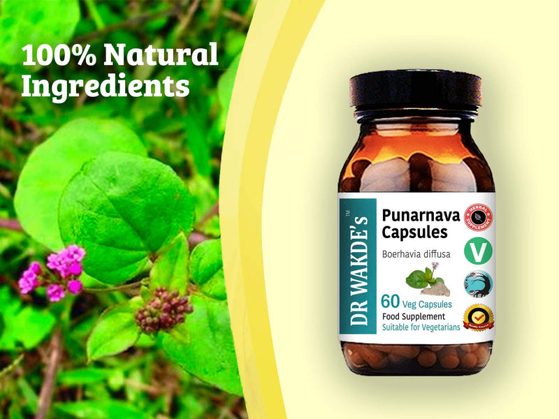 DR WAKDE'S Punarnava Capsules (Boerhavia diffusa) - 60 Veg Caps | Kidney & Urinary Tract Health Support* | Vegan, Plant-Based, All Natural