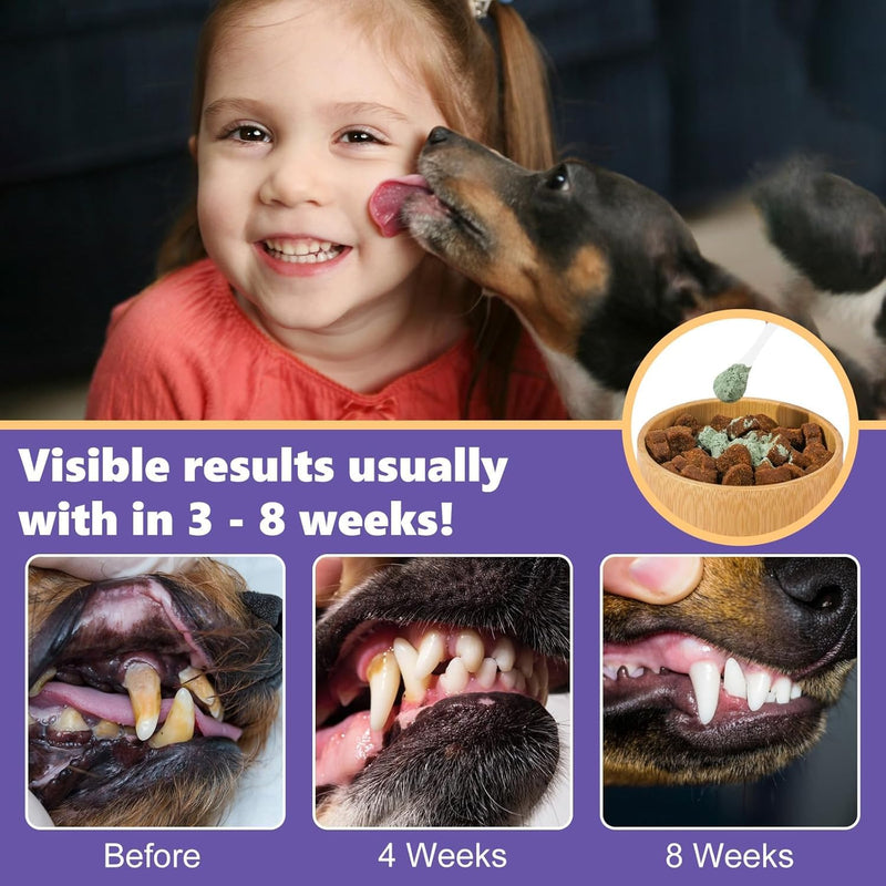 Dog Teeth Cleaning Powder for Dog Bad Breath Treatment, Dog Dental Powder for Dog Breath Freshener with Probiotics, Plaque Tartar Off Dog Tooth Powder Made Easy, Dog Dental Care, All Types Dogs - PawsPlanet Australia