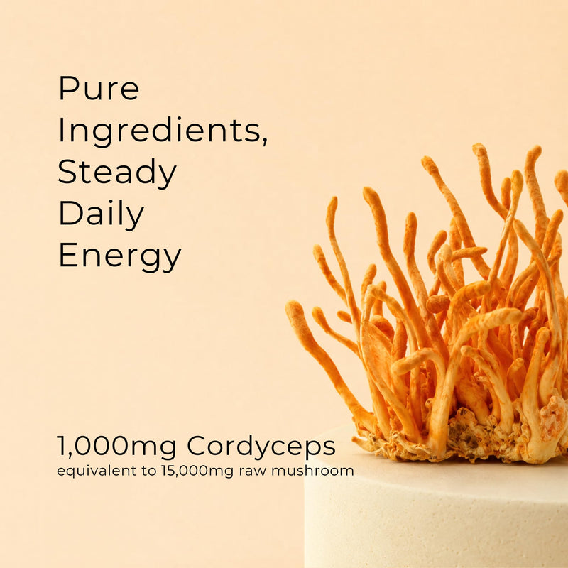 Cordyceps Super Strength Extract | Premium Cordyceps Mushroom Capsules | Dual Extract Vegan Capsules with 50% Beta Glucan | Supplement for Energy, Stamina & Immune Support – 60 Count