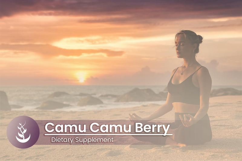 Pure Original Ingredients Camu Camu Berry, (100 Capsules) Always Pure, No Additives Or Fillers, Lab Verified 100 Count (Pack of 1)