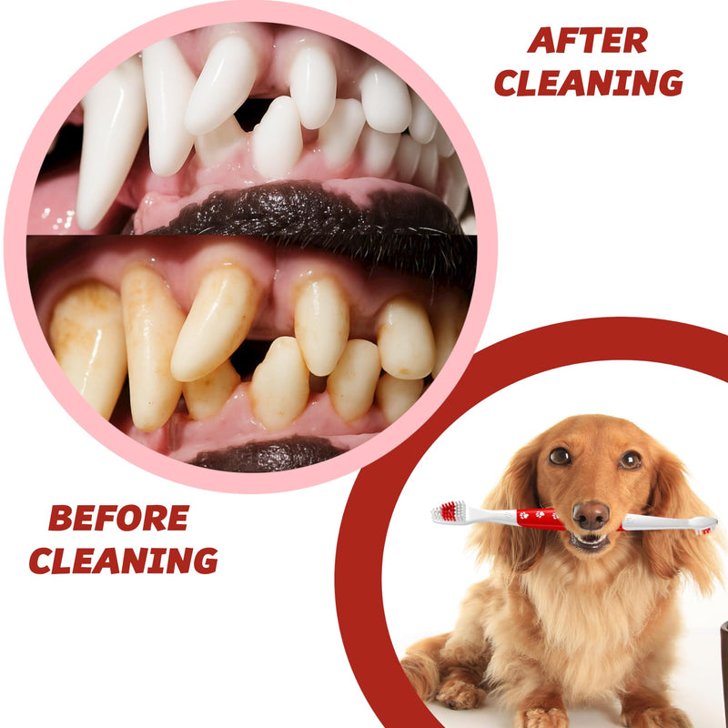 [Australia] - Pet Toothbrush for Dogs, Cats with Soft Bristles - Easy Teeth Cleaning & Dental Care, Non Slip Dual Head Dog Toothbrush for Medium & Large Pets, Toothpaste Not Included, Pack of 2 Pack of 2(red) 
