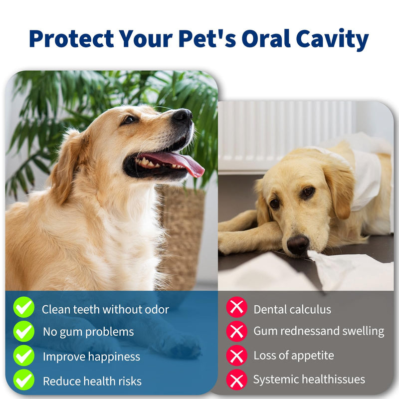 [Australia] - Dog Plaque Remover - Pet Sonic Teeth Cleaner with LED Light -Teeth Cleaning Kit for Tartar and Stains -Suitable for Dogs（White） White 
