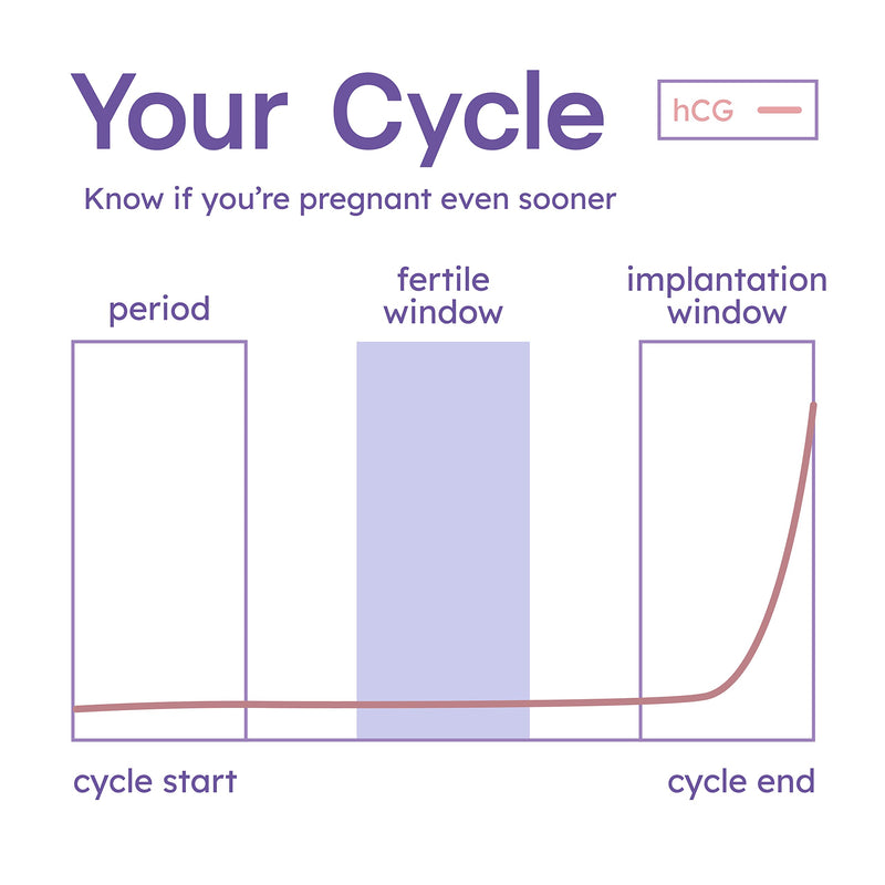 Predict Ovulation and Pregnancy Test Combo Kit | Ovulation Test LH Strips to Predict The Fertile Window | Early Pregnancy hCG Tests Detect Pregnancy Up to 6 Days Sooner