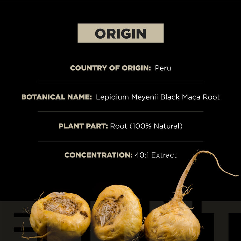 40x Strength Organic Black Maca Root w. Ashwagandha - #1 Highest Potency Maca Root Capsules for Men 40:1 Black Maca Root Powder Extract - 100% Pure Gelatanized Maca Peruana + Ashwagandha for Men Women