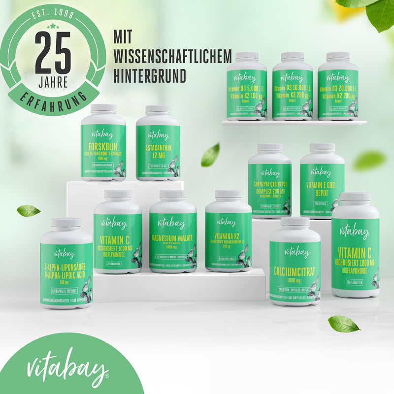 [Australia] - Vitabay OPC Grape Seed Extract 1000 mg High Dose - 120 Vegan Capsules Time Released - Grape Seed Extract with Polyphenols - Natural Plant Substances without Unwanted Additives - Laboratory Tested 120 g (Pack of 1) 