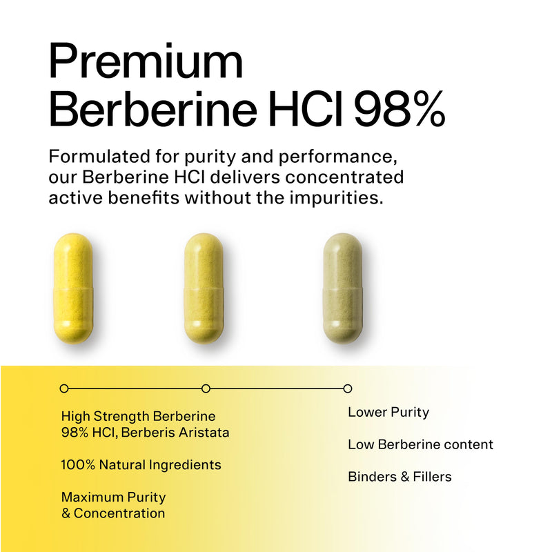 Pure Berberine 500mg – 10:1 Extract (5000mg Equivalent) – Vegan Capsules – Premium Plant-Based Supplement for Everyday Balance and Vitality – 90 Capsules