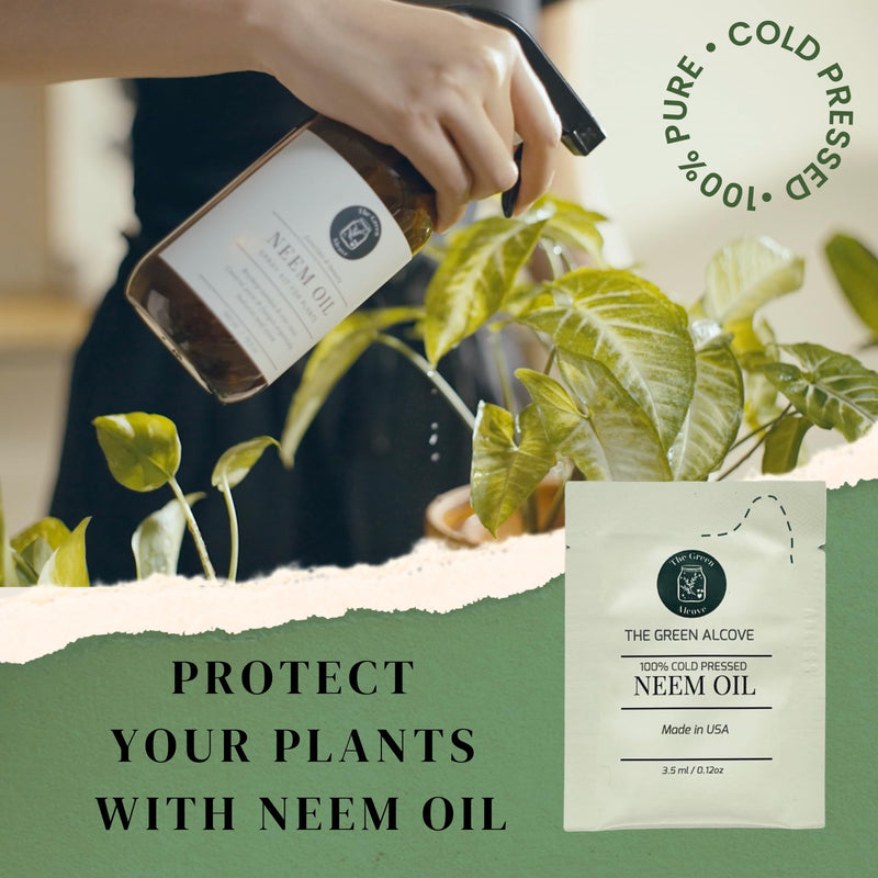 [Australia] - 100% Cold Pressed Neem Oil Spray Refill for Indoor and Outdoor Garden Plants, Makes 80 fl oz | The Green Alcove 0.12 Fl Oz (Pack of 5) 