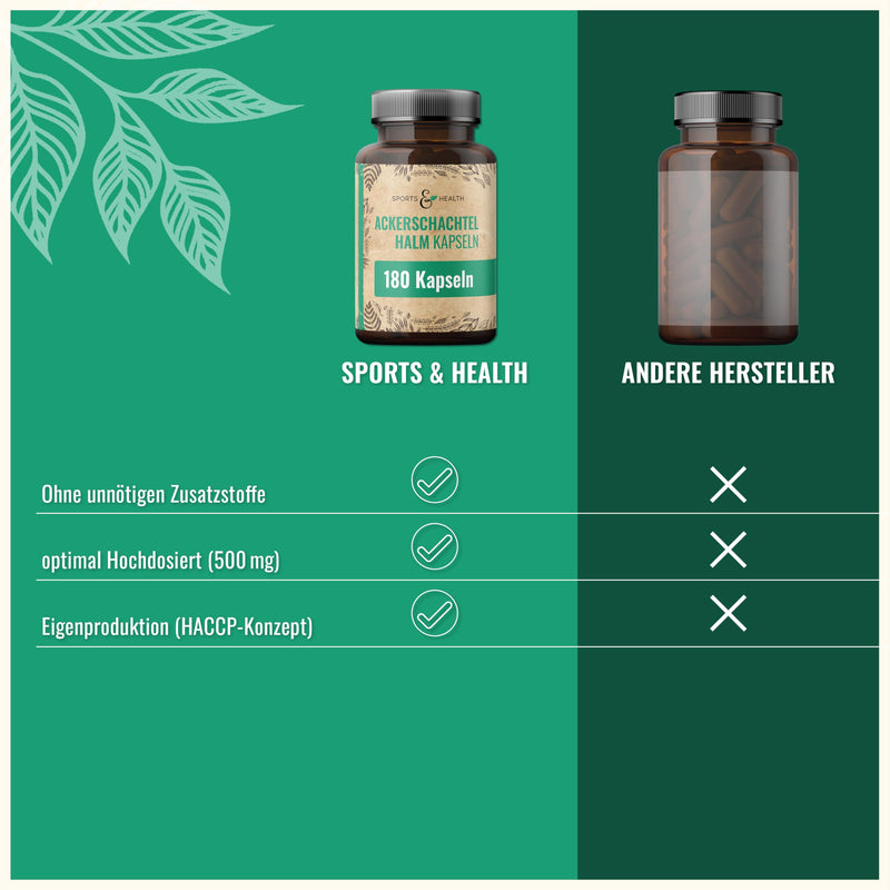 [Australia] - Field horsetail capsules - 500mg per capsule - 180 capsules - horsetail - vegan - field horsetail extract 