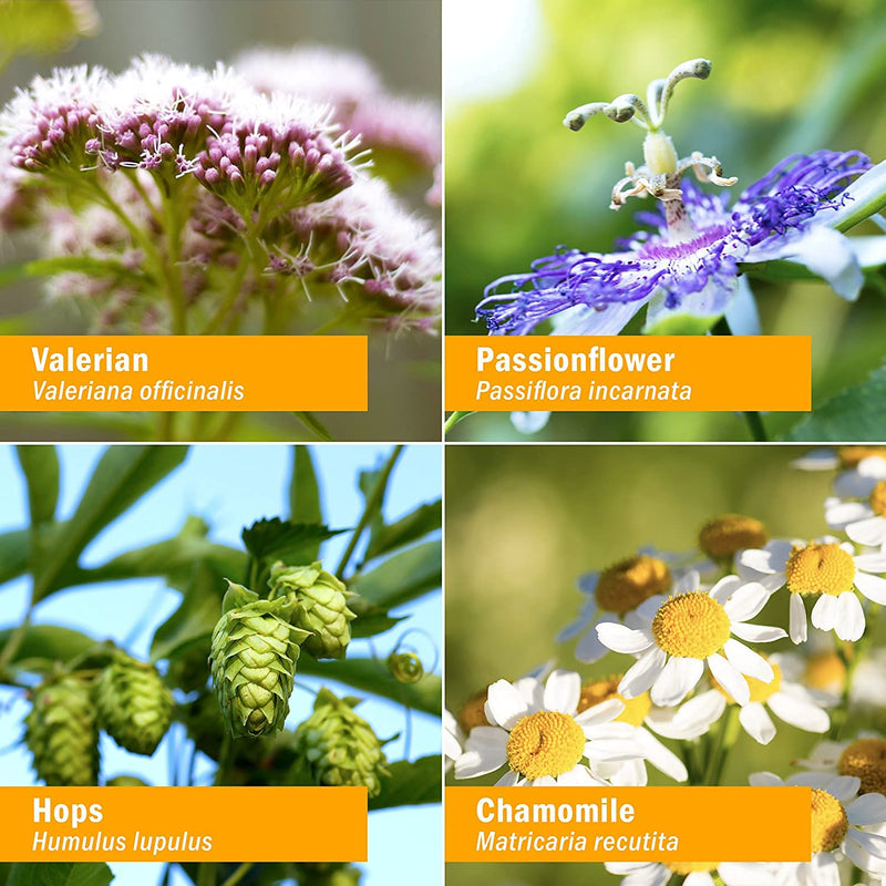 [Australia] - Herb Pharm Relaxing Sleep Herbal Formula with Valerian Extract - 1 Ounce 1 Fl Oz (Pack of 1) 