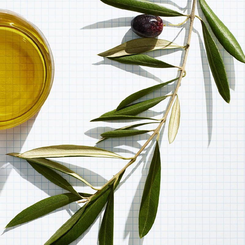 [Australia] - Olive Spa Revitalizing Skin CREAM FOR MEN 75 ml 