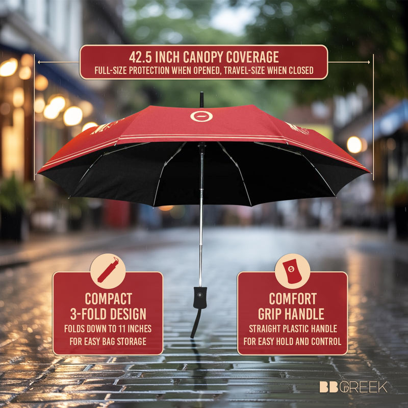 Delta Sigma Theta Sorority Paraphernalia - Official Vendor - Umbrella Collection greek-letters-1913
