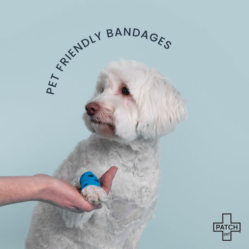 PATCH Eco Pet First Aid Kit for Dogs and Cats. Cat and Dog First Aid Kit with Bandages, Gauze Pads & Glove. Emergency First Aid Kit for Animals Including Puppy Small - PawsPlanet Australia