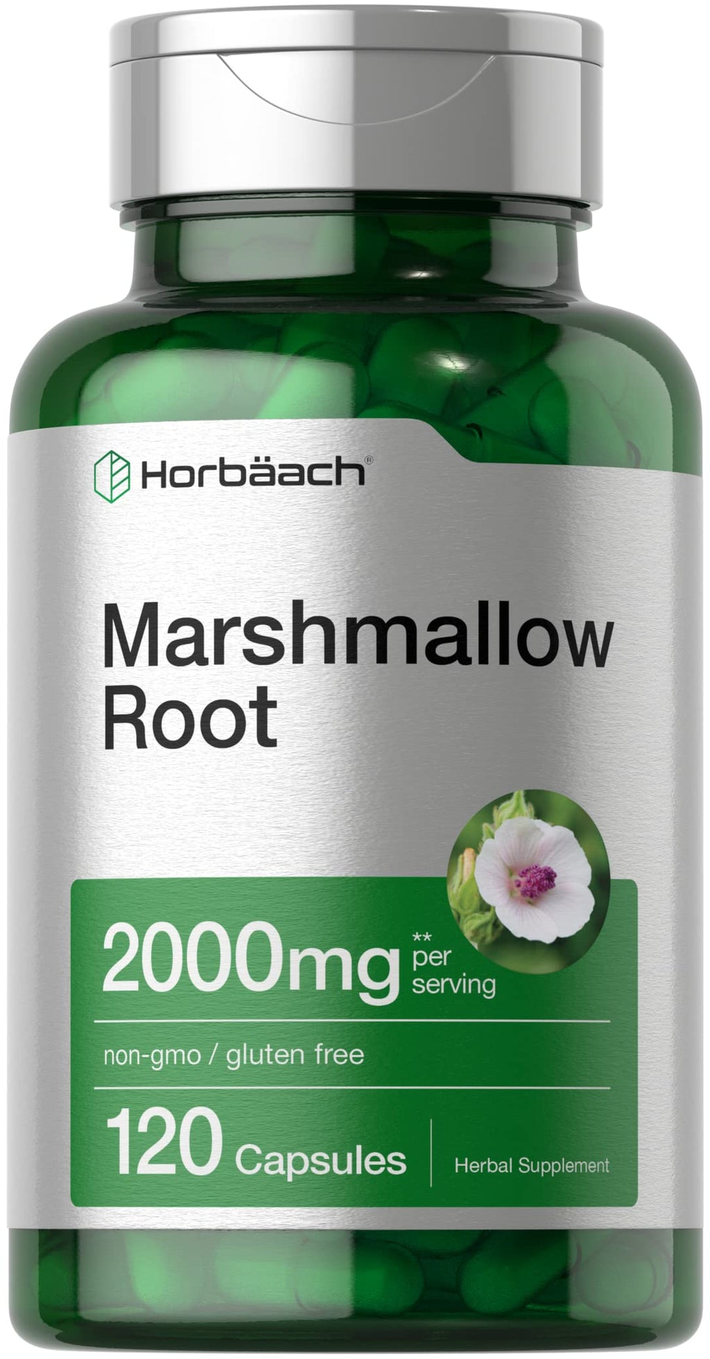 Horbäach Marshmallow Root Capsules | 2000mg | 120 Count | Non-GMO & Gluten Free | Traditional Herb Extract