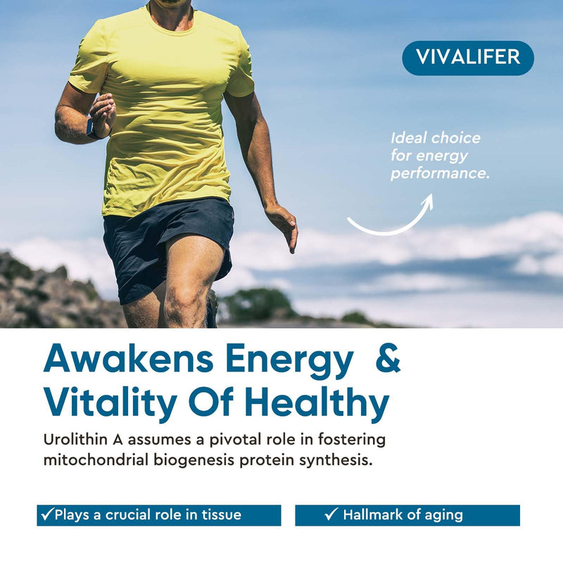 [Australia] - Urolithin A Supplement 1000 mg, 180 Softgels Powerful Antioxidant Protection, Promoting Healthy Aging & Mitochondrial Health and Cell Repair Support for Men & Women 1 Count (Pack of 180) 