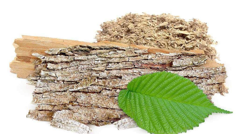 Slippery Elm 5000mg 240 Capsules, Digestive & Gut Health Support, Soothes Throat & Stomach, Natural Herbal Supplement