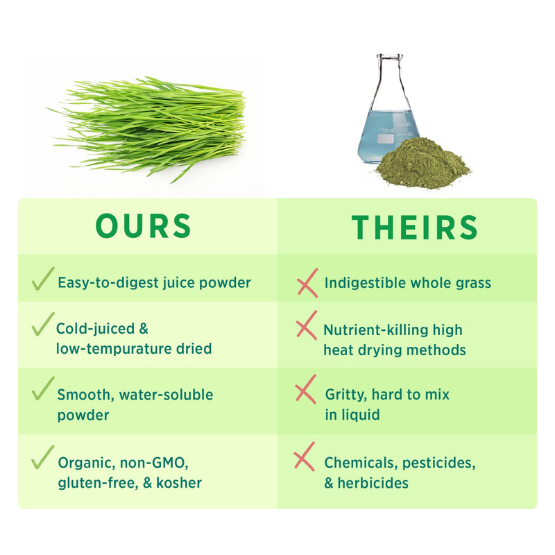 [Australia] - PURE SYNERGY Organic Barley Grass Juice Powder | Chlorophyll-Rich Greens Powder | Organic Cold-Pressed Barley Grass Juice | for Energy, Detox, and Digestion Support (5.3 oz. Powder) 