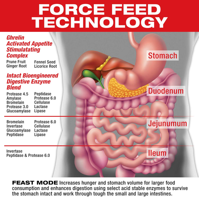 [Australia] - MuscleMeds Feast Mode Appetite Stimulant Weight Gain Pills Digestive Enzymes Safe and Effective 90 Caps, Unflavored, 90 Count 