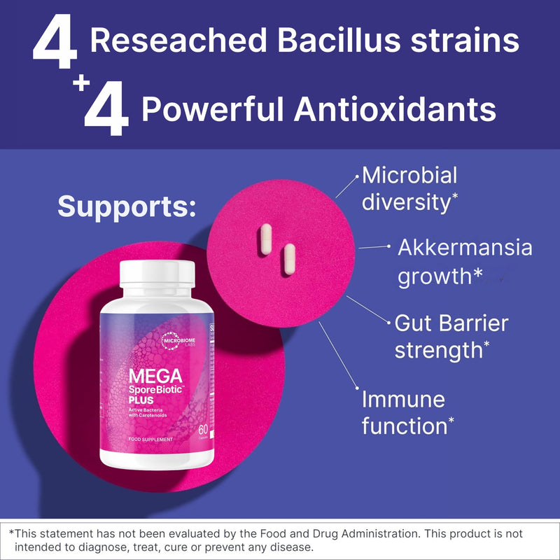 Microbiome Labs MegaSporeBiotic Plus with Antioxidants - Spore Based Probiotic, Active Bacteria Supplement to Boost Akkermansia, 4 Bacillus Strains for Gut Health - Vegan Probiotics - 60 Capsules Megasporebiotic Plus Antioxidants