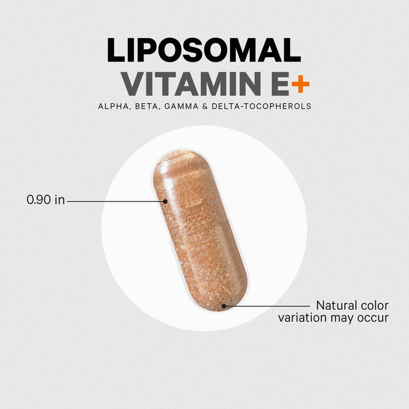 [Australia] - Codeage Liposomal Vitamin E Supplement - All Vitamin E Tocopherols - 3-Month Supply - Alpha Tocopherols, Beta, Gamma, and Delta - Liposomal Mixed Tocopherols - Non-GMO Phospholipid - 90 Capsules 