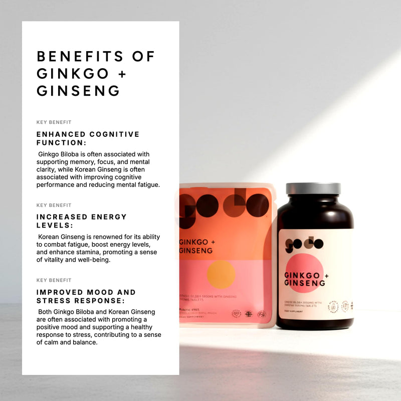 Ginkgo Biloba and Korean Ginseng - 360 Tablets - Panax Tablets - Supports Mental Performance - Focus, Boost Energy Supplement 360 count (Pack of 1)