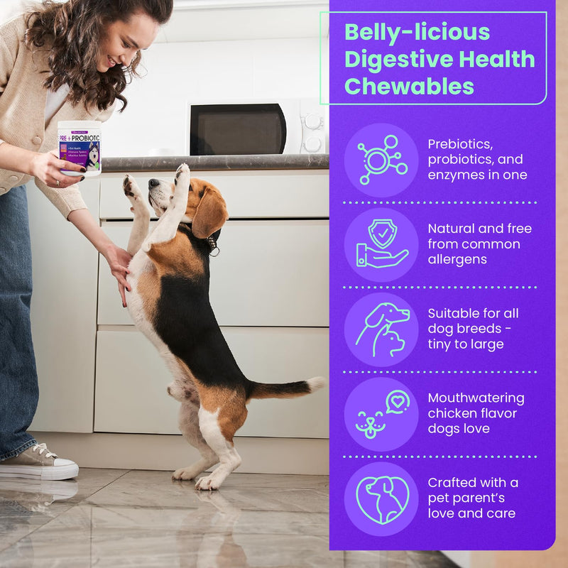 FREYDELL Pets Probiotics for Dogs Dog Upset Stomach Relief Dog probiotic, Fiber Supplement for Dogs, Yeast Infection Treatment for Dogs & Dog Diarrhea Medication, Probiotic for Dogs of All Ages. - PawsPlanet Australia