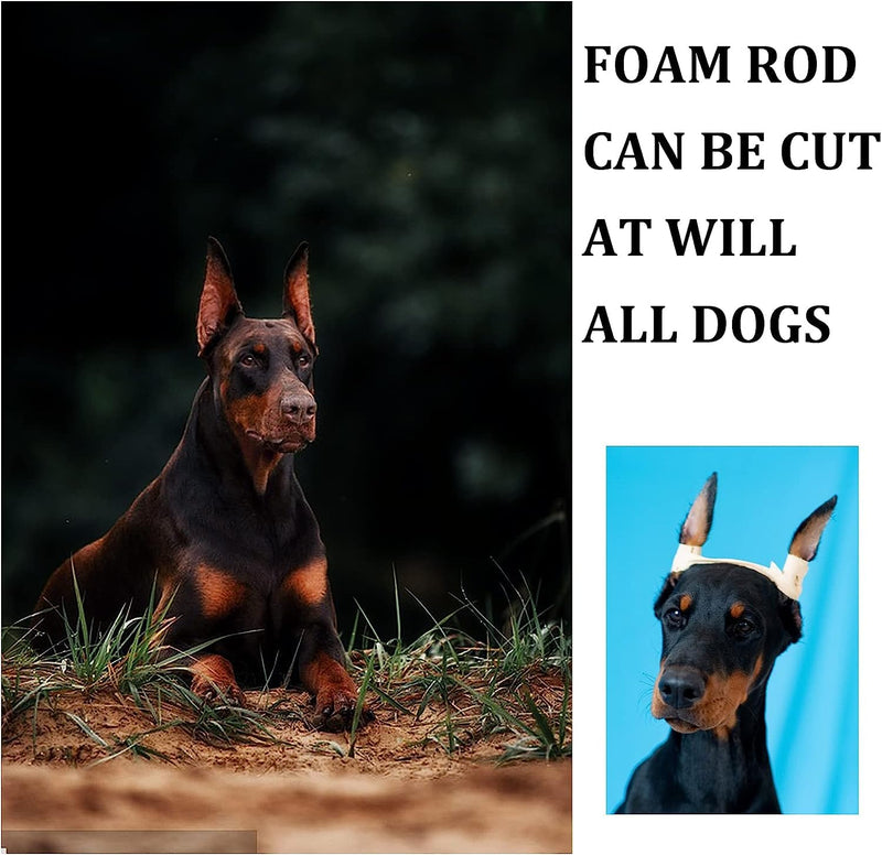 Pacify Doberman Dog Ear Posting Kit, Dog Ear Stand Up Support Tool with Tape Doberman Pinscher Dogs - PawsPlanet Australia