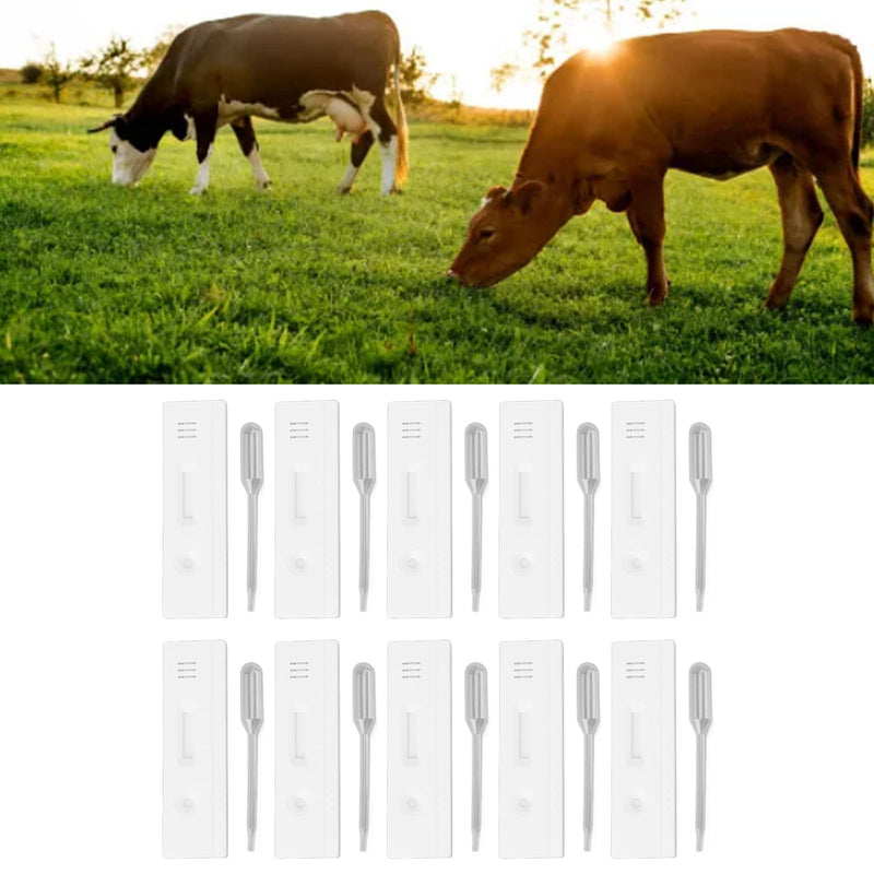 Fdit Cow Pregnancy Test Strips High Accuracy Quick Detection Early Pregnancy Diagnosis Tool