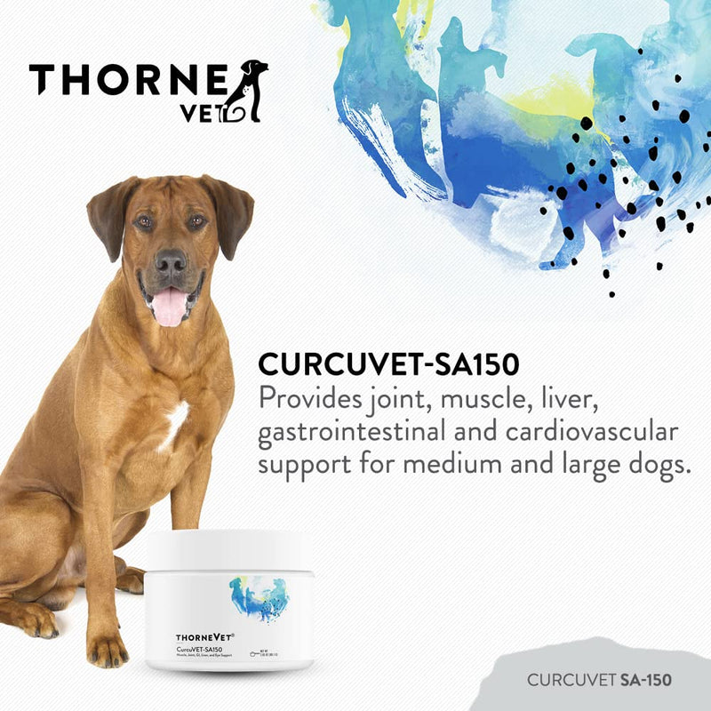 ThorneVet CurcuVET-SA150 Powder, 90 Scoops - PawsPlanet Australia
