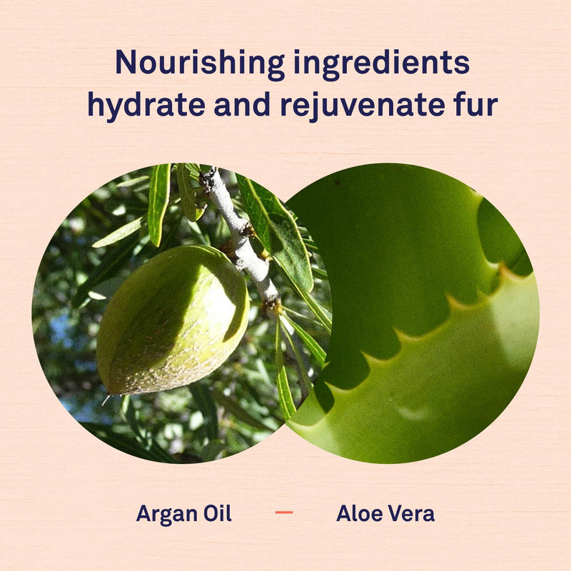 Petpost | Argan Shampoo for Dogs - Naturally Heals, Protects, & Rejuvenates Dog Dry Skin & Coat - Argan Oil and Aloe Formula 16 oz. 16oz. - PawsPlanet Australia