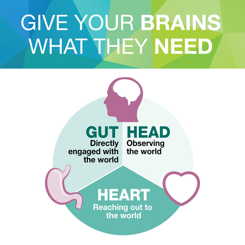 [Australia] - Natural Factors 3 Brains, Higher Thoughts, Support for Cognitive Health and Brain Function, Daily Dietary Supplement, 90 Softgels (45 servings) 