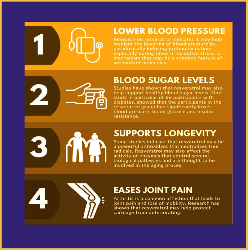 Resveratrol Supplement | 90 Capsules | Anti-Ageing| Nerve Cell Booster | Cell Protection| Effective 150MG X2 Split Dose| Blood Pressure Wisdom Shield Pro