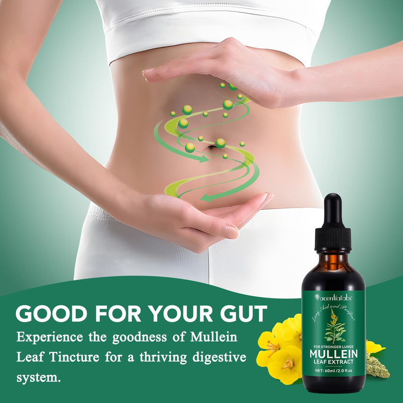 [Australia] - 2 Pack Mullein Drops for Lungs, Mullein Leaf Extract with Chlorophyll,Mullein Leaf Extract for Lung Cleanse and Respiratory Support -2 Bottles 4 Fl Oz (Pack of 1) 