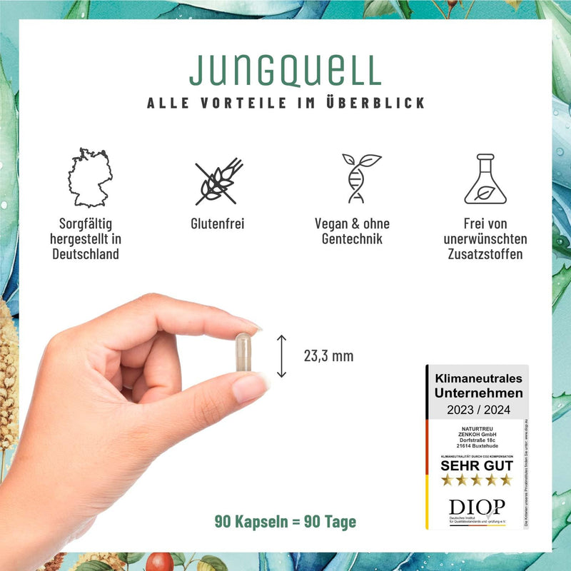[Australia] - NATURTREU® Hyaluron capsules with 500 mg hyaluronic acid in high doses with aloe vera, biotin & vitamin C - 90 capsules for skin* and joints** - Natural and vegan 