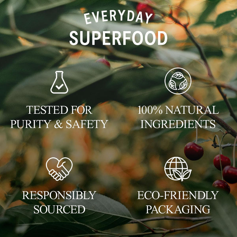 Everyday Superfood Organic Maqui Berry Powder 190g Great with a Frozen Acai & Maca Bowl, Freez Dried Fruit Powder 190 g (Pack of 1)