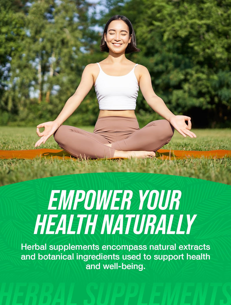 [Australia] - BulkSupplements.com Astragalus Capsules - from Astragalus Root, Astragalus Supplement - Vegan, 1 Capsule per Serving, 240 Veg Capsules (Pack of 1) 