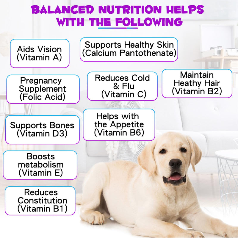 Dog Multivitamin - 15 in 1 Multivitamin Drops for Dogs, Dog Vitamins with Glucosamine Cranberry Supports Joint & Digestion, Skin & Coat, Pets Supplements for Dogs of All Ages, Bacon Flavor - 2 Fl Oz Purple-15 in 1 Multivitamin - PawsPlanet Australia