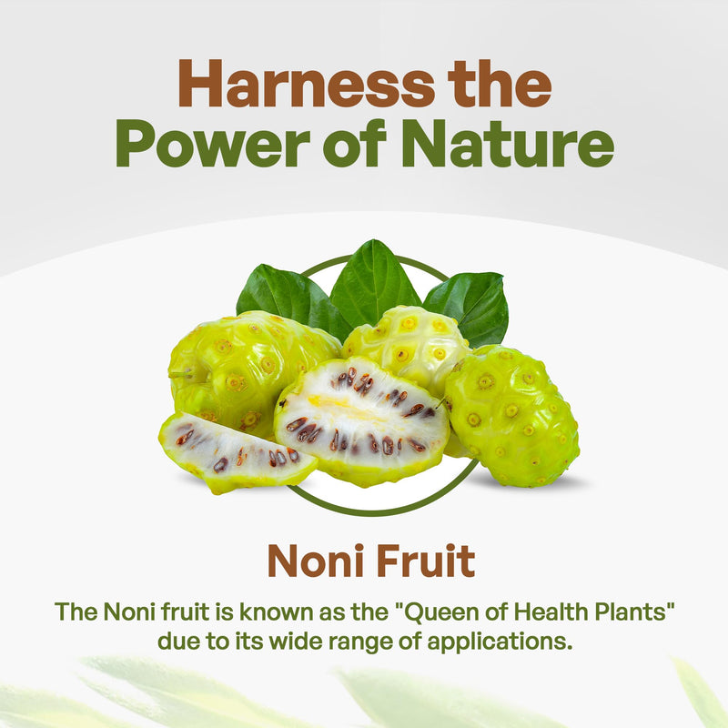 [Australia] - Go Nutra Noni Fruit Powder Organic 5:1 Extract Pure 1lb. (16 oz) Superfood Noni Powder 